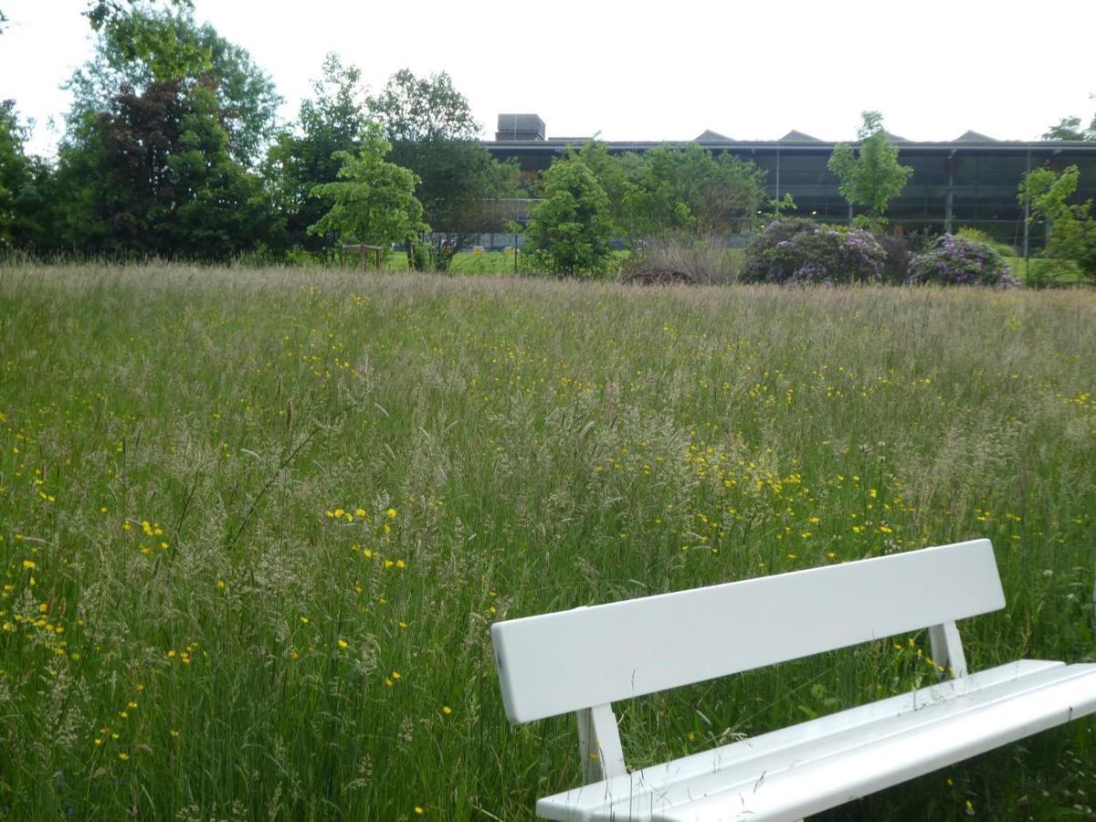 Ferienwohnung Am Hirschpark Bad Pyrmont Eksteriør billede